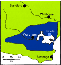 Wareham Basin