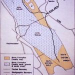 Geology - the Petrockstow Basin