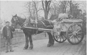 Amos Hewings with J. Vallance's horse and cart at Teignbridge 