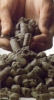 Refined clay noodles
