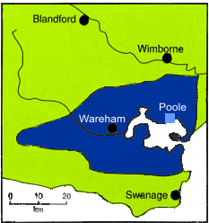 sketch map of the Wareham Basin