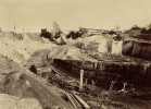 Great Plantation WBB 1901